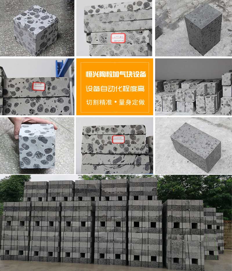 陶(táo)粒加氣混凝(ning)土砌塊